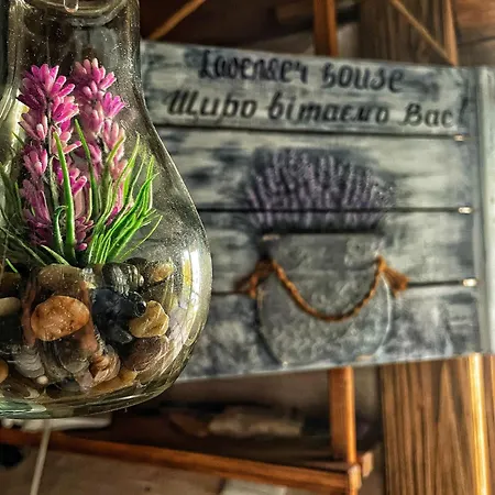 Lavender Mountain House * Славське